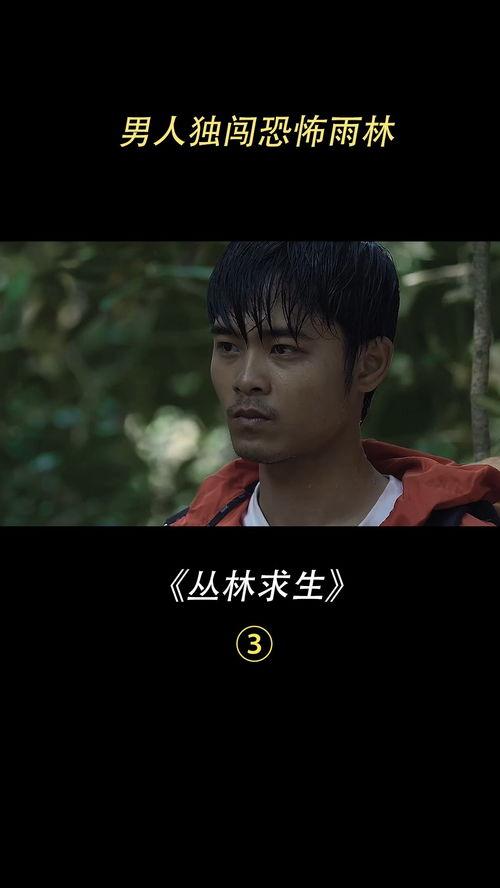 密林 电影在线观看,揭秘神秘森林的惊悚之旅