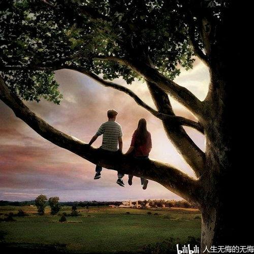 电影怦然心动在线观看,青春心跳的甜蜜旋律